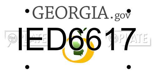 IED6617 Georgia License Plate