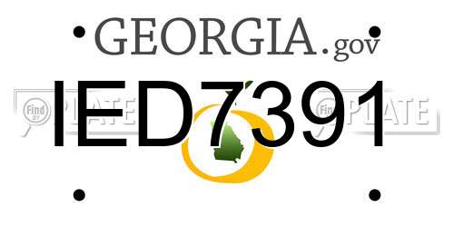 IED7391 Georgia License Plate