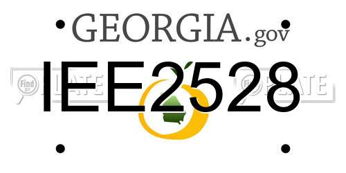 IEE2528 Georgia License Plate