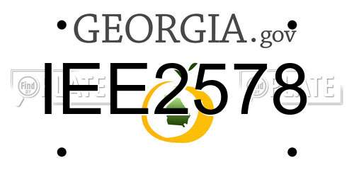 IEE2578 Georgia License Plate