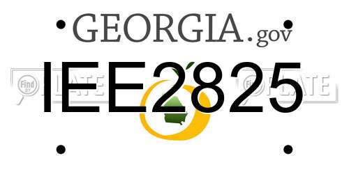 IEE2825 Georgia License Plate