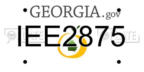 IEE2875 Georgia License Plate
