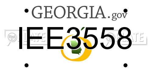 IEE3558 Georgia License Plate