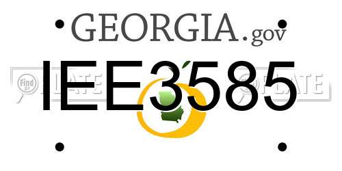 IEE3585 Georgia License Plate