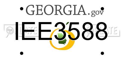 IEE3588 Georgia License Plate