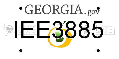 IEE3885 Georgia License Plate