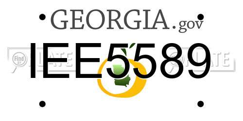IEE5589 Georgia License Plate