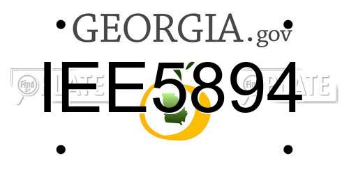IEE5894 Georgia License Plate