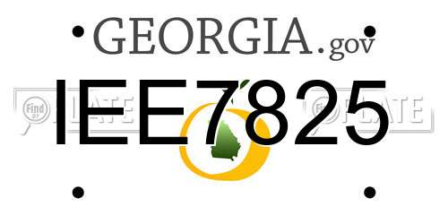 IEE7825 Georgia License Plate