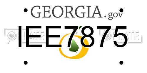 IEE7875 Georgia License Plate