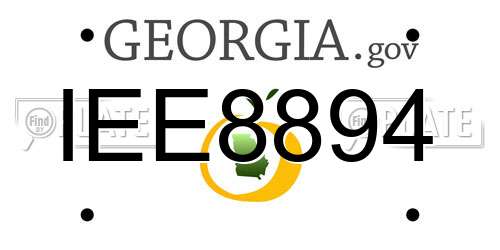 IEE8894 Georgia License Plate