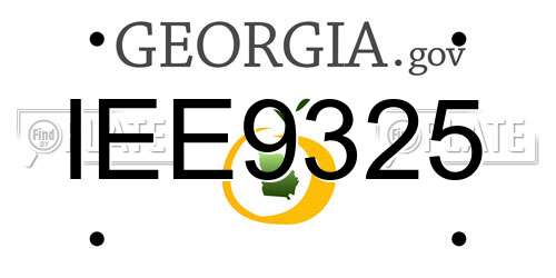 IEE9325 Georgia License Plate