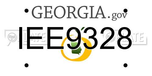 IEE9328 Georgia License Plate