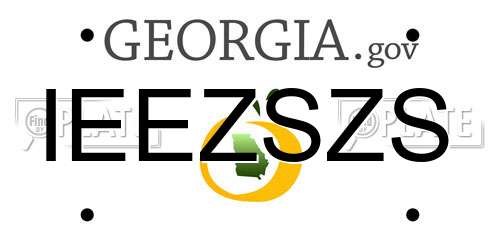 IEEZSZS Georgia License Plate
