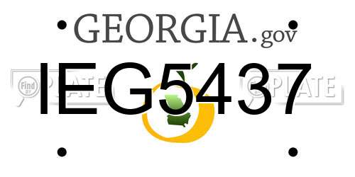 IEG5437 Georgia License Plate