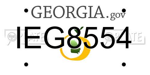IEG8554 Georgia License Plate