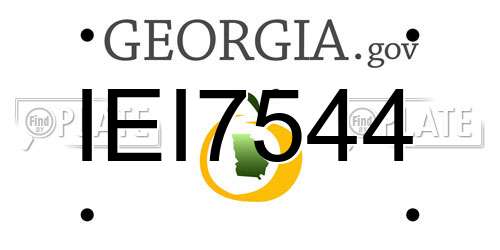 IEI7544 Georgia License Plate