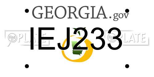 IEJ233 Georgia License Plate