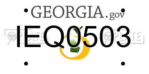 IEQ0503 Georgia License Plate