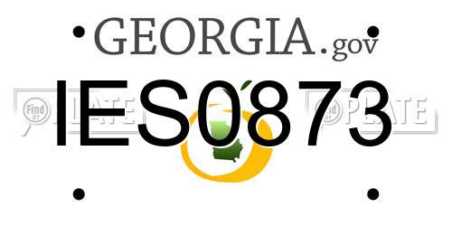 IES0873 Georgia License Plate