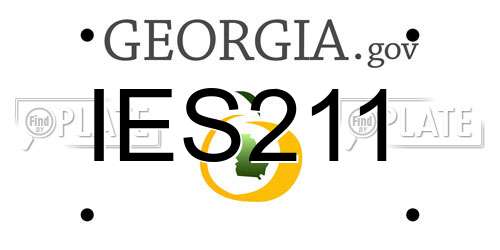 IES211 Georgia License Plate