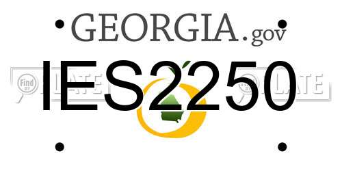 IES2250 Georgia License Plate