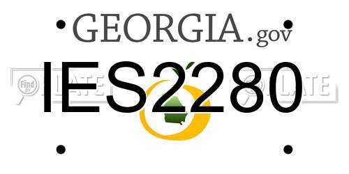 IES2280 Georgia License Plate