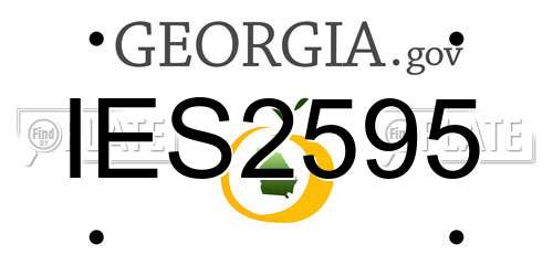 IES2595 Georgia License Plate