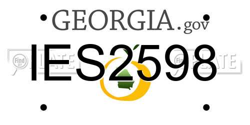 IES2598 Georgia License Plate