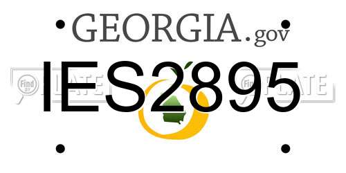 IES2895 Georgia License Plate