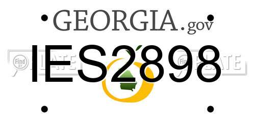 IES2898 Georgia License Plate