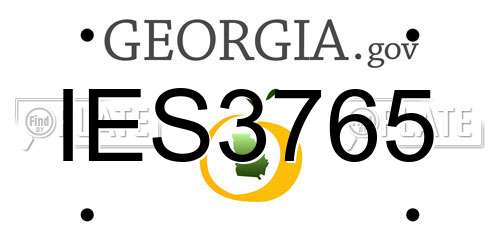 IES3765 Georgia License Plate