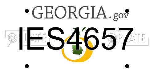 IES4657 Georgia License Plate