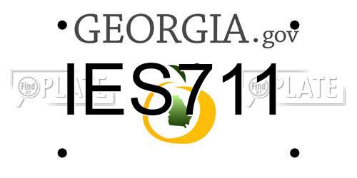 IES711 Georgia License Plate