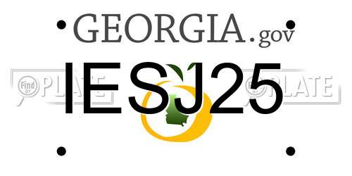 IESJ25 Georgia License Plate