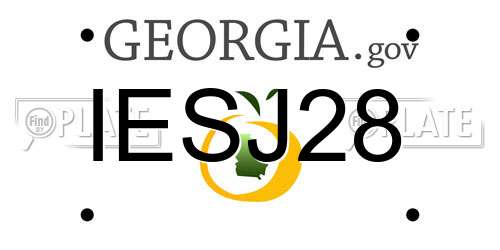 IESJ28 Georgia License Plate