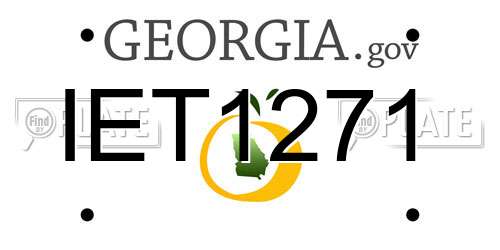 IET1271 Georgia License Plate