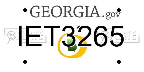 IET3265 Georgia License Plate
