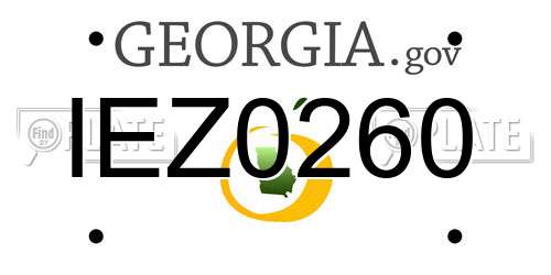 IEZ0260 Georgia License Plate