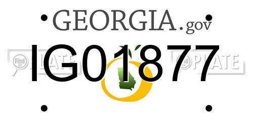 IG01877 Georgia License Plate