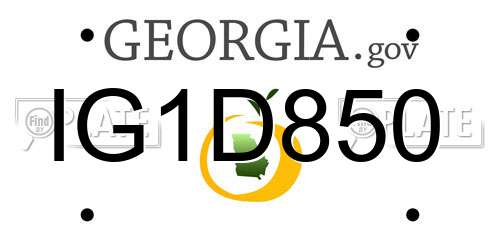 IG1D850 Georgia License Plate