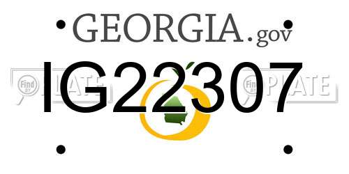 IG22307 Georgia License Plate