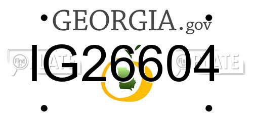 IG26604 Georgia License Plate