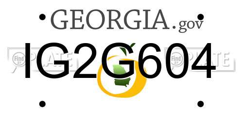 IG2G604 Georgia License Plate