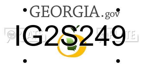 IG2S249 Georgia License Plate