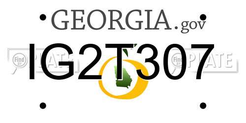 IG2T307 Georgia License Plate