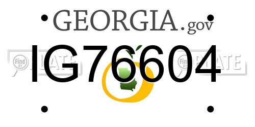 IG76604 Georgia License Plate
