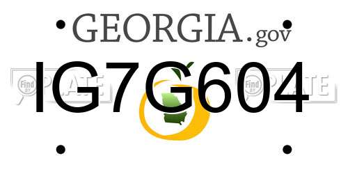 IG7G604 Georgia License Plate