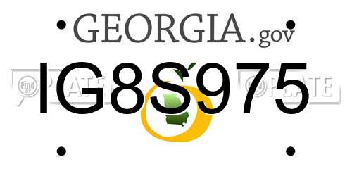 IG8S975 Georgia License Plate