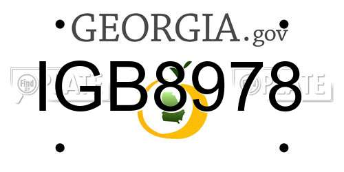 IGB8978 Georgia License Plate
